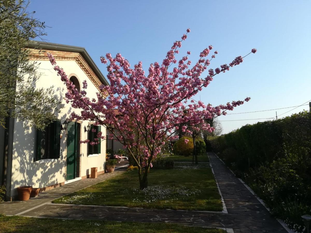 Casa Pianta Hotel Кавалино-Трепорти Екстериор снимка